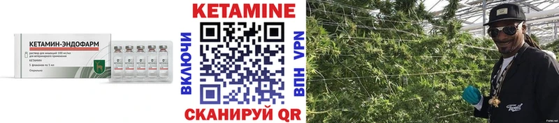 где найти наркотики  Плавск  блэк спрут ССЫЛКА  Кетамин VHQ 