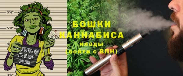 молекула духа Верхний Тагил