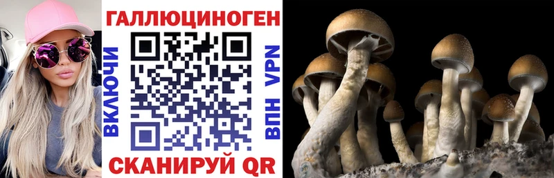 omg рабочий сайт  Плавск  Псилоцибиновые грибы Psilocybe 