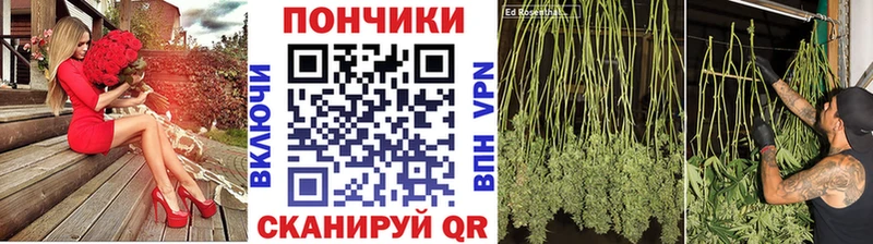 купить   Плавск  Каннабис ГИДРОПОН 